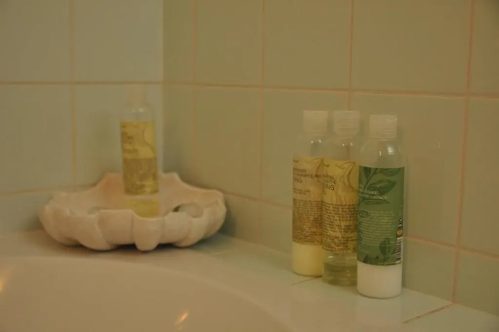 Bed & Breakfast De Verrassing Utrecht Netherlands